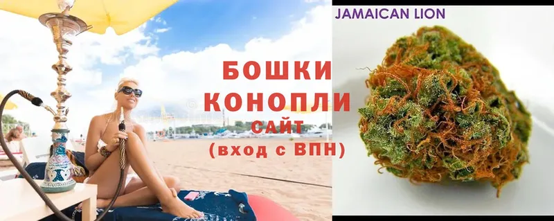 Бошки марихуана Ganja  где можно купить   Андреаполь 